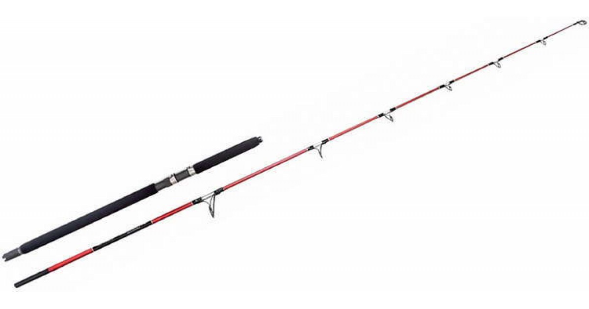 Canna SEEKER Premium 30/50lbs E 50lbs - Jonio Pesca - Foto 5