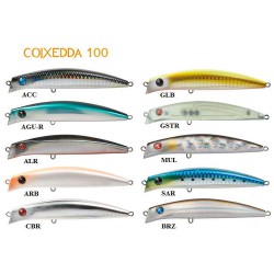 SEASPIN COIXEDDA 100 