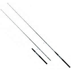 DAIWA SALTIST INSHORE SPINNING 