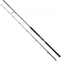 DAIWA 25 SALTIST SX JIG SPECIAL 
