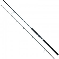 DAIWA 25 SALTIST X JIG SPECIAL 