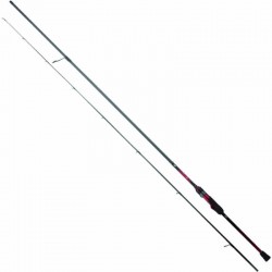 DAIWA 25 GEKKABIJIN X 