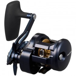 DAIWA 25 SALTIGA 300 