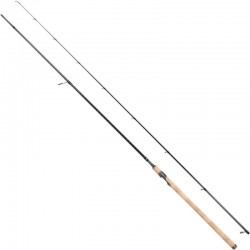 SHIMANO SPEEDMASTER SEA TROUT SPINNING 