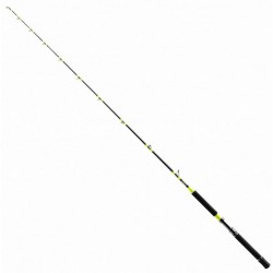 SHIMANO TYRNOS C TROLLING LITE 