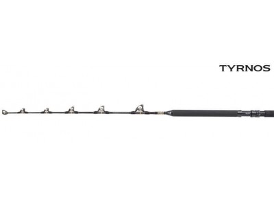 SHIMANO TYRNOS A STAND UP