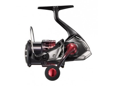 Best items and accessories for those looking for shimano sephia bb c3000s  at the best price - Research Tognini pesca