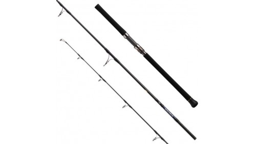 DAIWA 21 SALTIGA CASTING