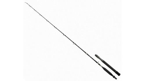 SHIMANO TYRNOS B TROLLING LITE