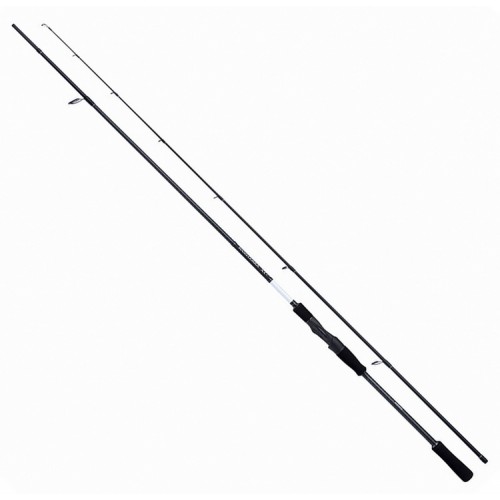 SHIMANO BASSTERRA XT + SEA BASS