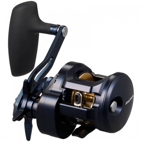 DAIWA 25 SALTIGA 300