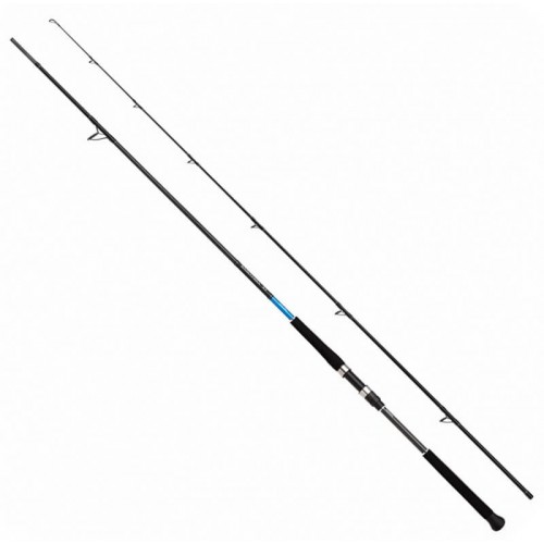 SHIMANO BASSTERRA XT SHORE JIGGING