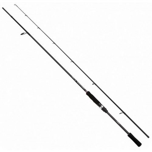 SHIMANO BASSTERRA A SEABASS SPINNING