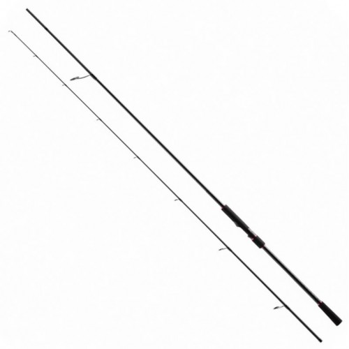 SHIMANO CATANA GX SPINNING EVA
