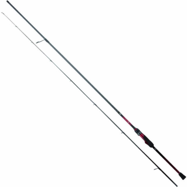 DAIWA 25 GEKKABIJIN X 