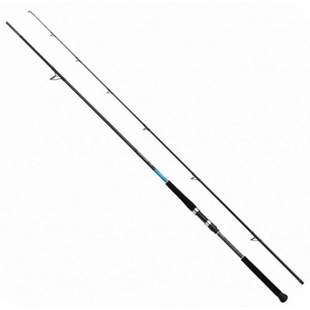 SHIMANO BASSTERRA XT SHORE JIGGING 