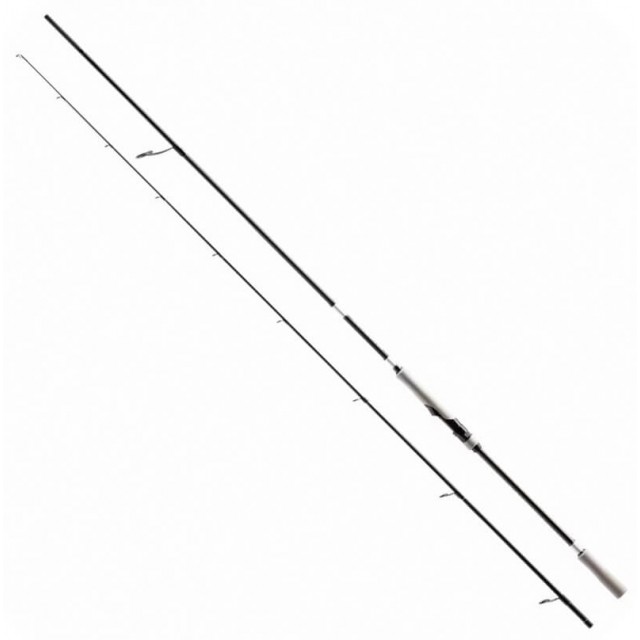 SHIMANO BASSTERRA XT + A SEA BASS 