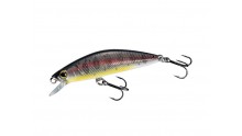 SHIMANO CARDIFF FOLLETTA 50SS  015