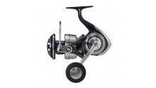 DAIWA CERTATE SW (G) 10000-P 