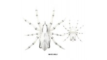 LUNKERHUNT PHANTOM SPIDER 2'' WHITE WOLF 