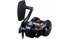 DAIWA 25 SALTIGA 300 