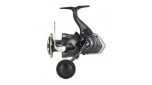 DAIWA 26 FREAMS LT 6000D