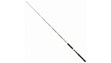 SHIMANO TYRNOS C TROLLING LITE 20LB W