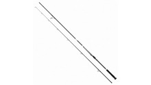 SHIMANO BASSTERRA XT + A SHORE JIGGING 100XH