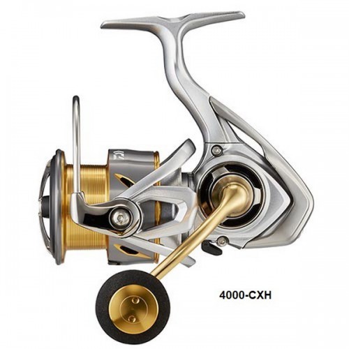 DAIWA 21 FREAMS LT 4000-CXH 