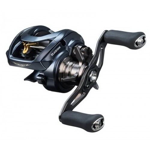 DAIWA 23 STEEZ A II TW 1000HL 