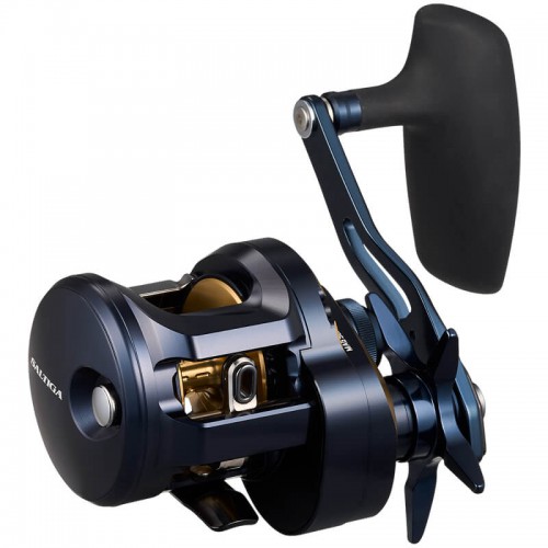 DAIWA 25 SALTIGA 300L  DAIWA 25 SALTIGA 300L