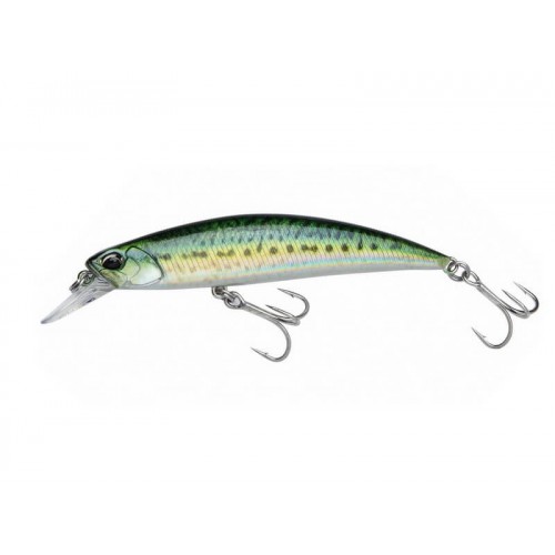 DUO SPEARHEAD RYUKI 80 S Real Mackerel