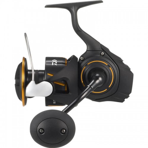 DAIWA 26 BG SW 6000P