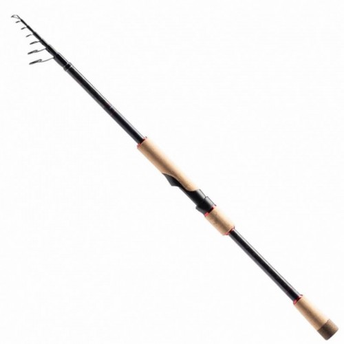 SHIMANO CATANA GX SPINNING TELE 210L