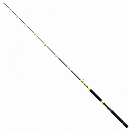 SHIMANO TYRNOS C TROLLING LITE 20LB W