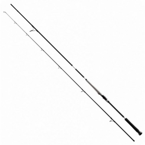 SHIMANO BASSTERRA XT + A SHORE JIGGING 100H