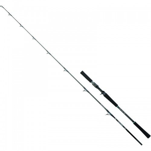 DAIWA 26 OUTRAGE MLT (MONSTER LOVES TENTACLE) 66B-4 AI Baitcasting