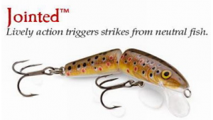 RAPALA JOINTED 11