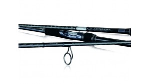 SHIMANO LUNAMIS SPINNING INSHORE