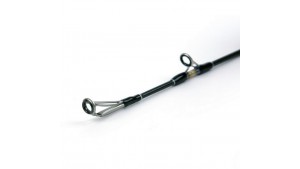 SHIMANO TYRNOS B TROLLING LITE