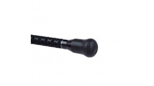 SHIMANO BEASTMASTER DX TELE BOAT