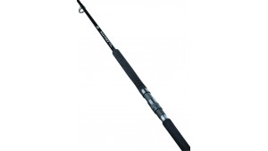 Canna Shore Jigging Daiwa 25 Saltist SX Jig Special part1