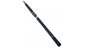 Canna Jigging Daiwa 25 Saltist X Jig Special part 3