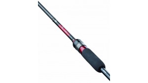 Canna Light Rock Fishing Daiwa 25 Gekkabijin X paer2