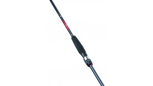 Canna Light Game Daiwa 25 Gekkabijin XV part1
