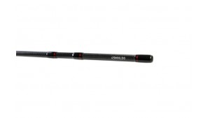 DAIWA 25 Luvias Match Long Distance Lake Trout: Canna Trota Lago