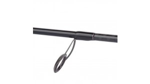 SHIMANO BASSTERRA A SEABASS SPINNING