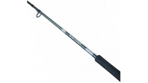 DAIWA 26 SALTIST X SPINNING