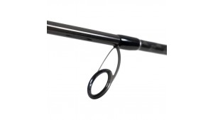 Anello Canna Trota di Mare Long Casting Shimano Speedmaster Sea Trout Spinning