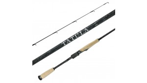 Daiwa 25 Tatula Spinning Canna Finesse Leggera e Ultra Sensibile